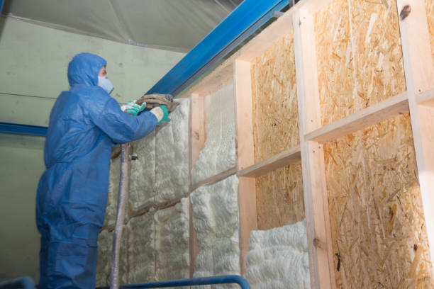 Best Residential Insulation Services  in Red Bank, SC
